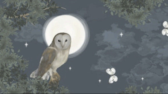 Night Owl - Woodland Wanderers by Sarah Payne