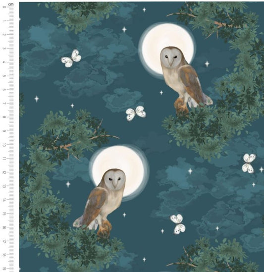 Night Owl - Woodland Wanderers by Sarah Payne