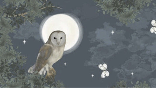 Night Owl - Woodland Wanderers by Sarah Payne