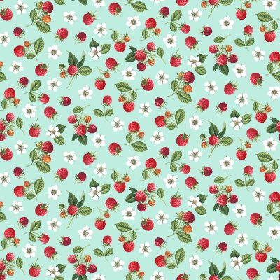 Makower 100% Cotton (112cm Wide) - Raspberries on Teal