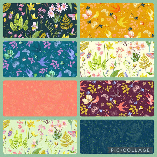 Windham Fabrics "anew" by Tamara KATE Cotton Prints (110cm Wide) by the 1/2 Metre - Choice of Design